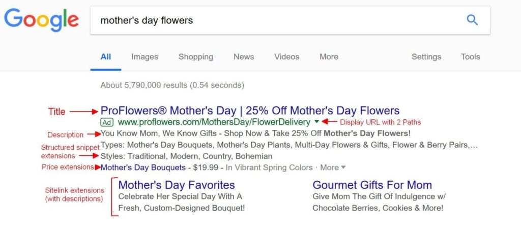 Google Ads Mistakes-Ad copy